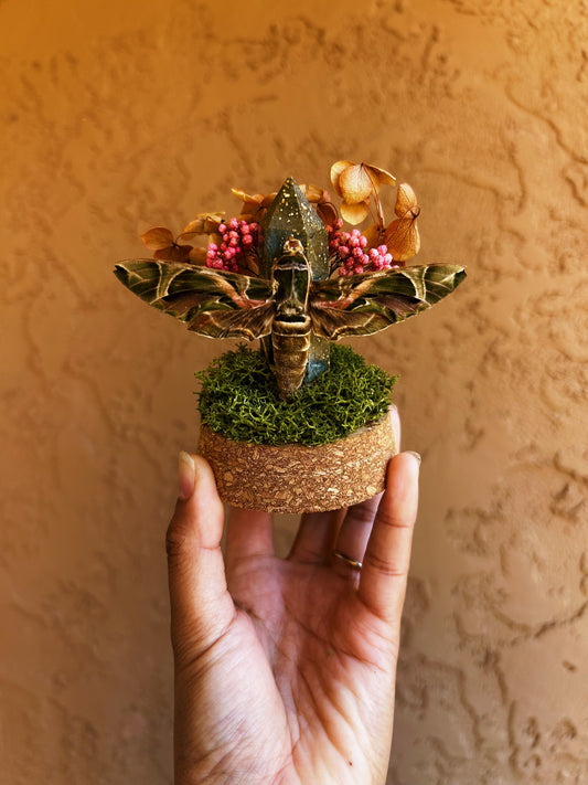 Bloom