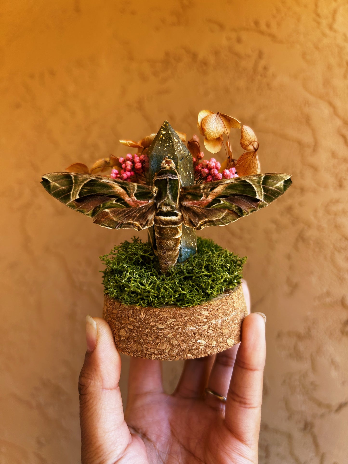Bloom