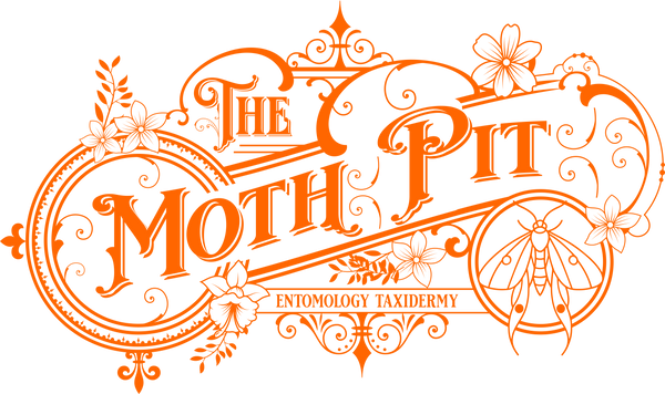 The Moth Pit